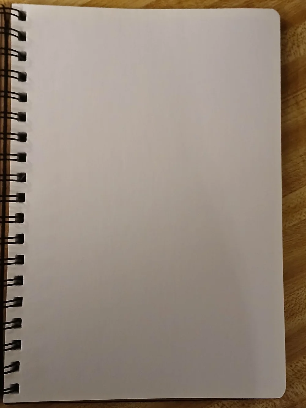Coach Collab × Keith NWOT RARE Notebook/Journal - Picture 5 of 5